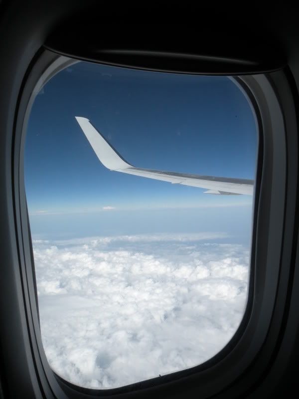 DSCN1131.jpg