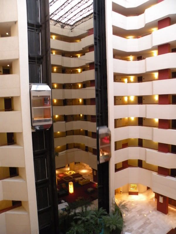 DSCN1195.jpg