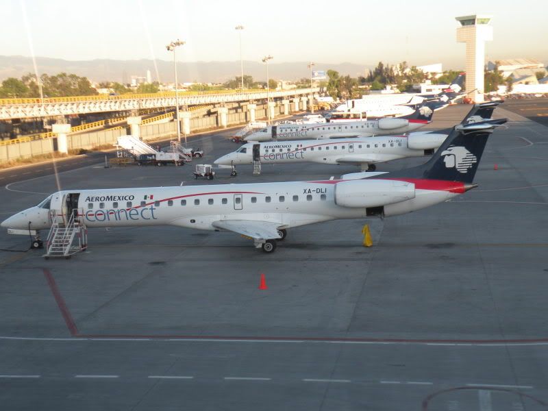 DSCN1203.jpg