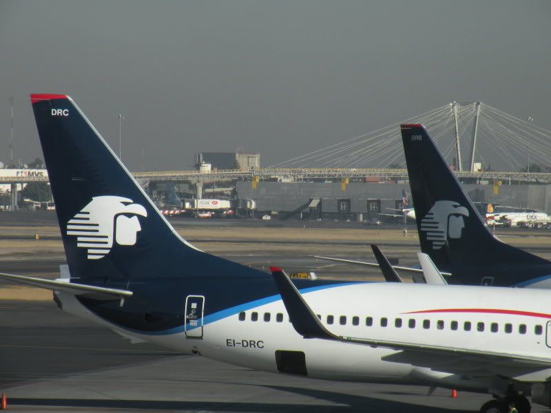 DSCN1206.jpg