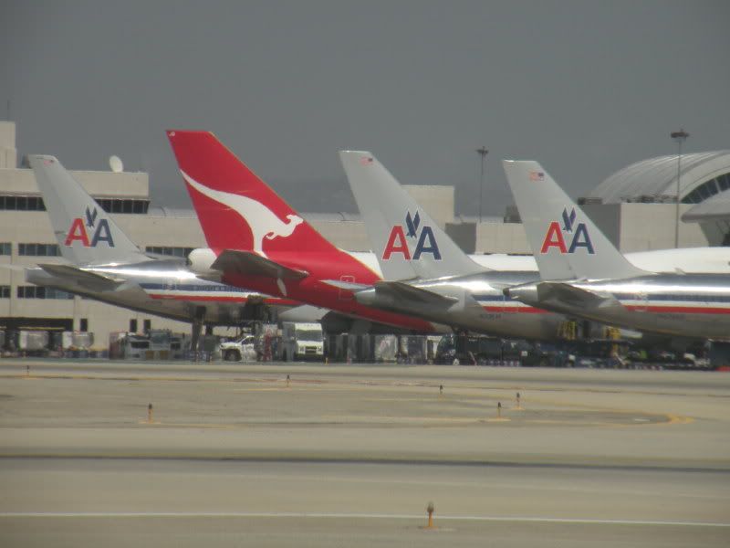 DSCN1250.jpg