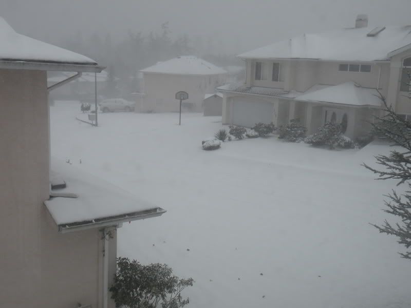 DSCN7383.jpg