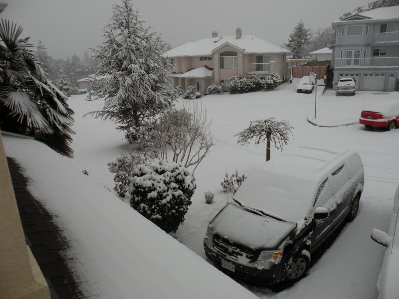 DSCN7389.jpg