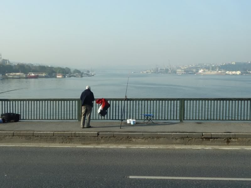 P1020226.jpg