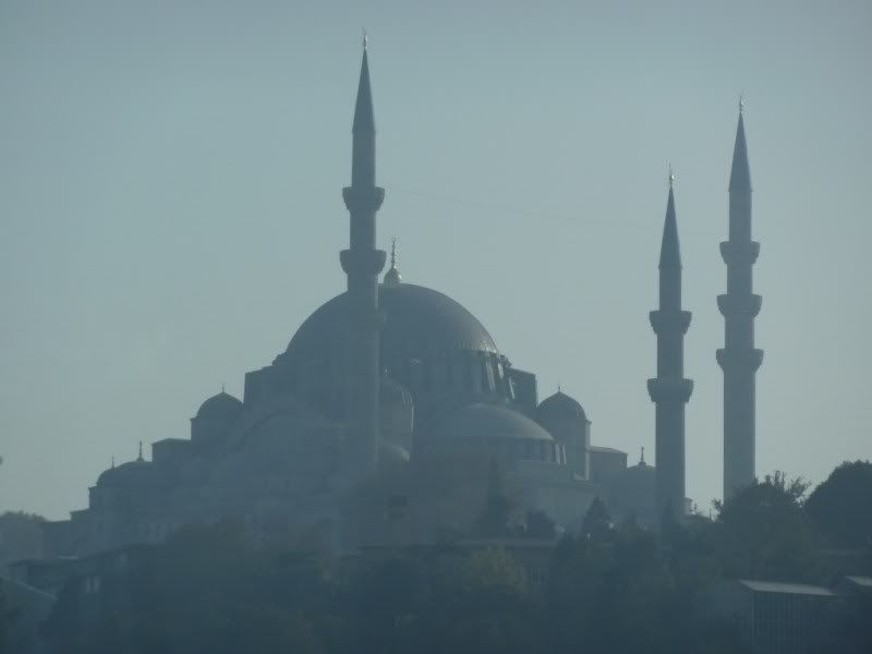 P1020227.jpg