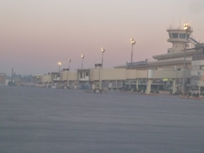 P1020365.jpg