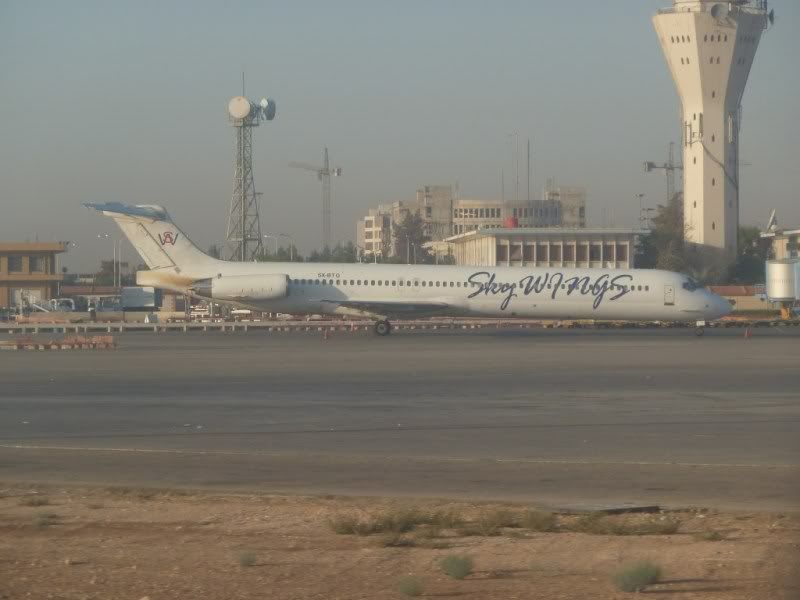 P1020381.jpg