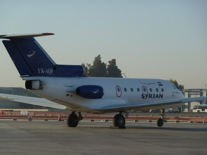 P1020385.jpg