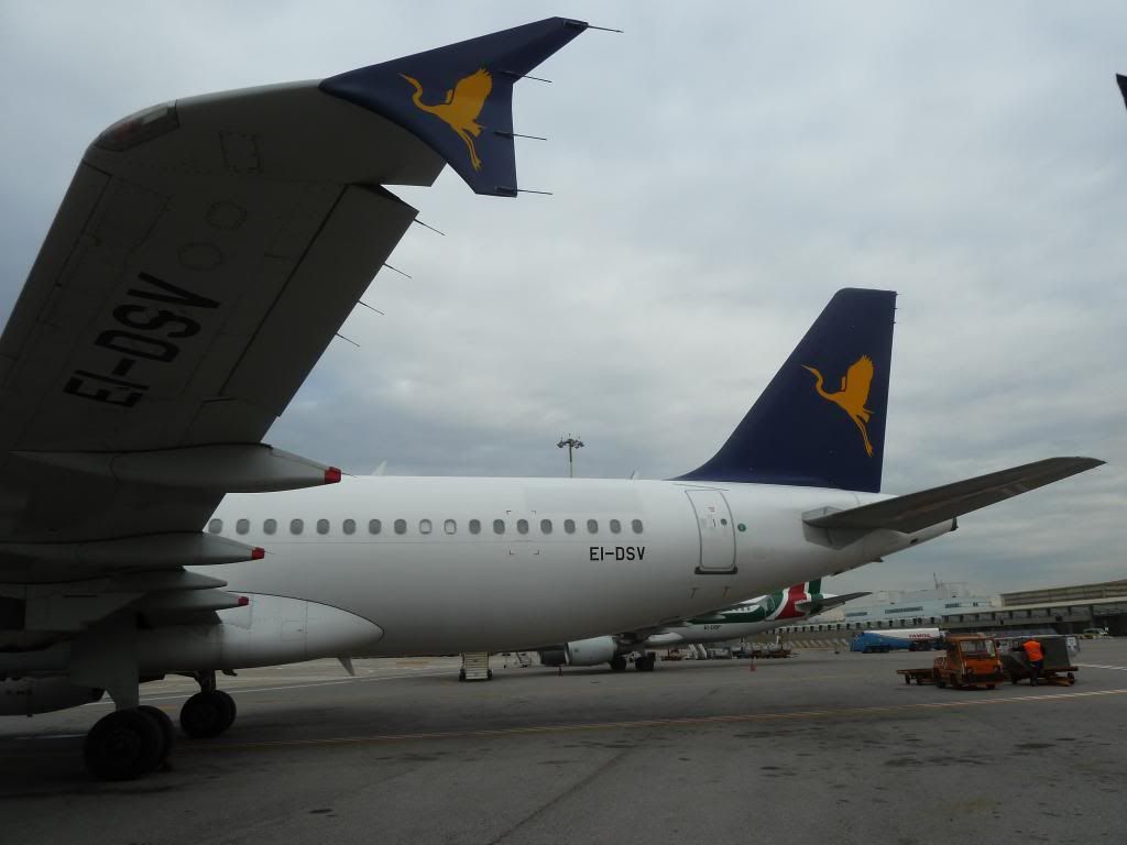 P1200008.jpg