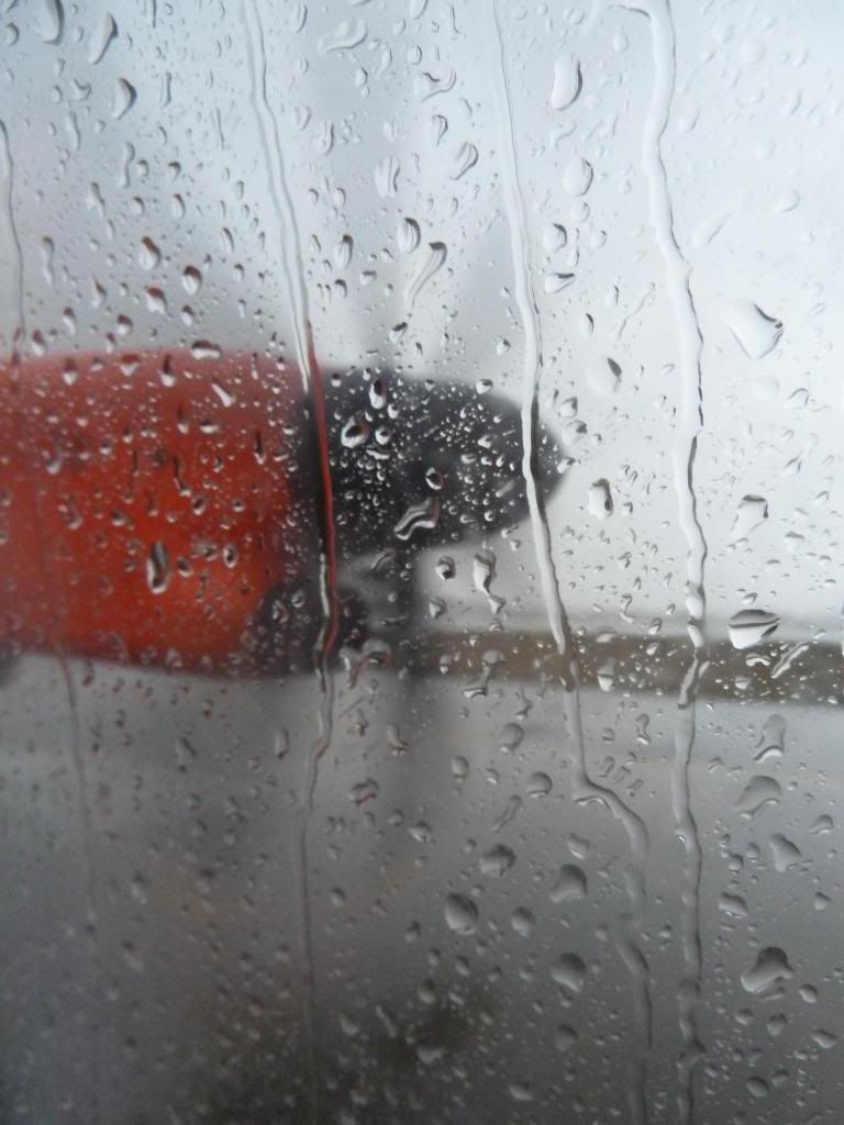 P1200033.jpg