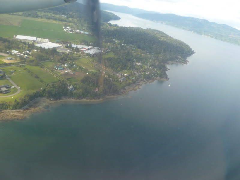 P1160768.jpg