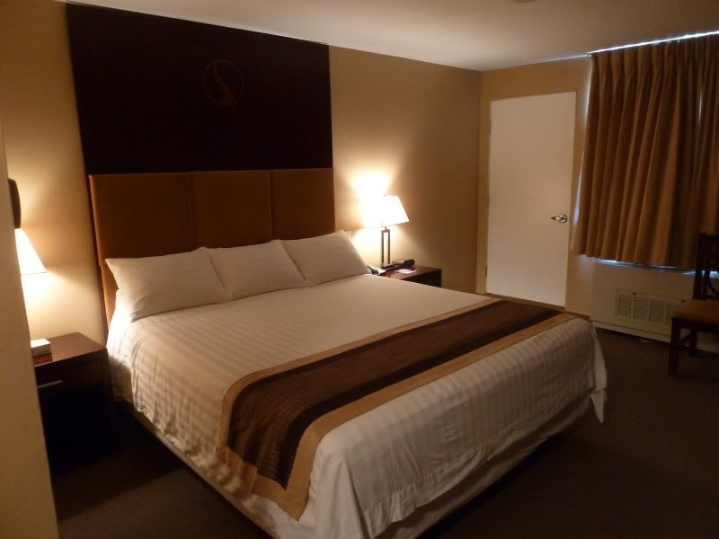 P1160843.jpg