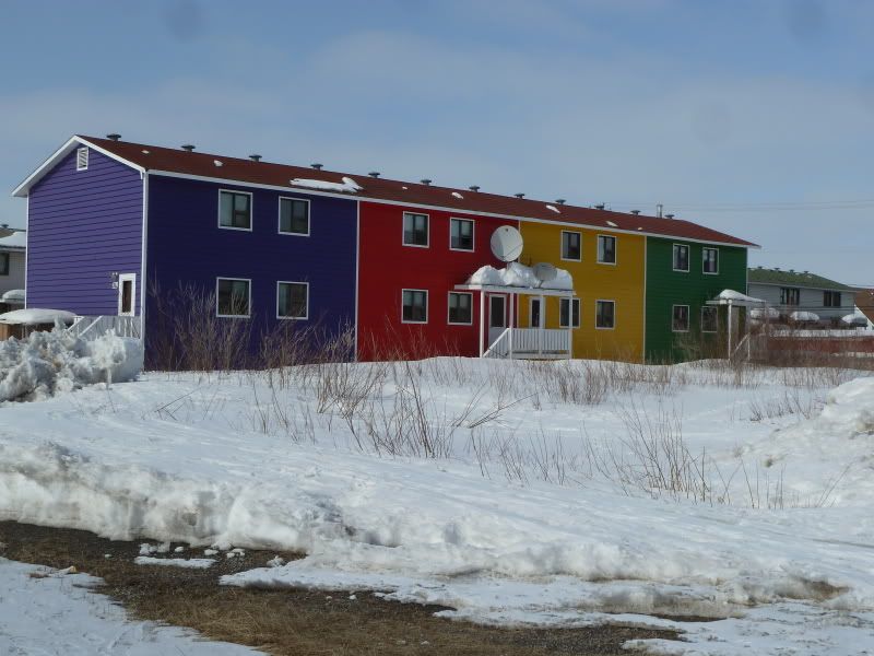 P1160978.jpg