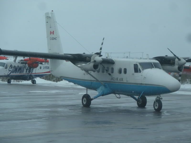 P1170007.jpg