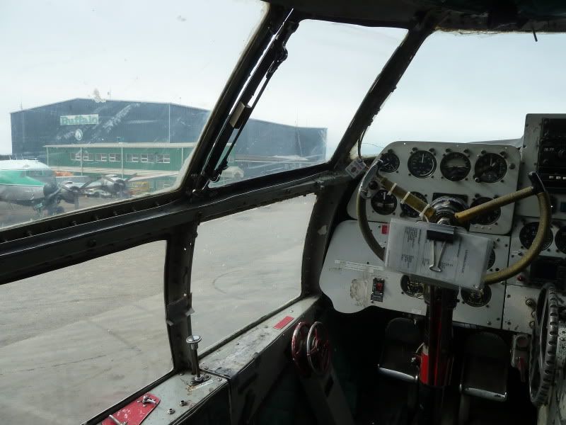 P1170236.jpg