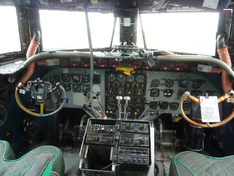 P1170241.jpg
