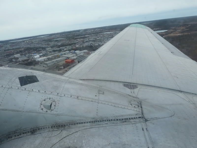 P1170264.jpg