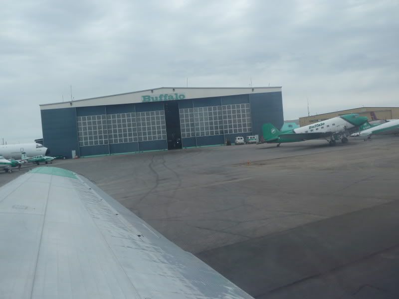 P1170289.jpg