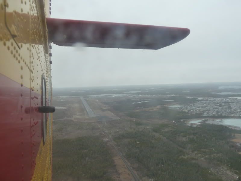 P1170324.jpg