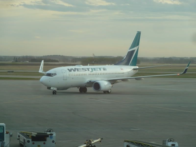P1170364.jpg