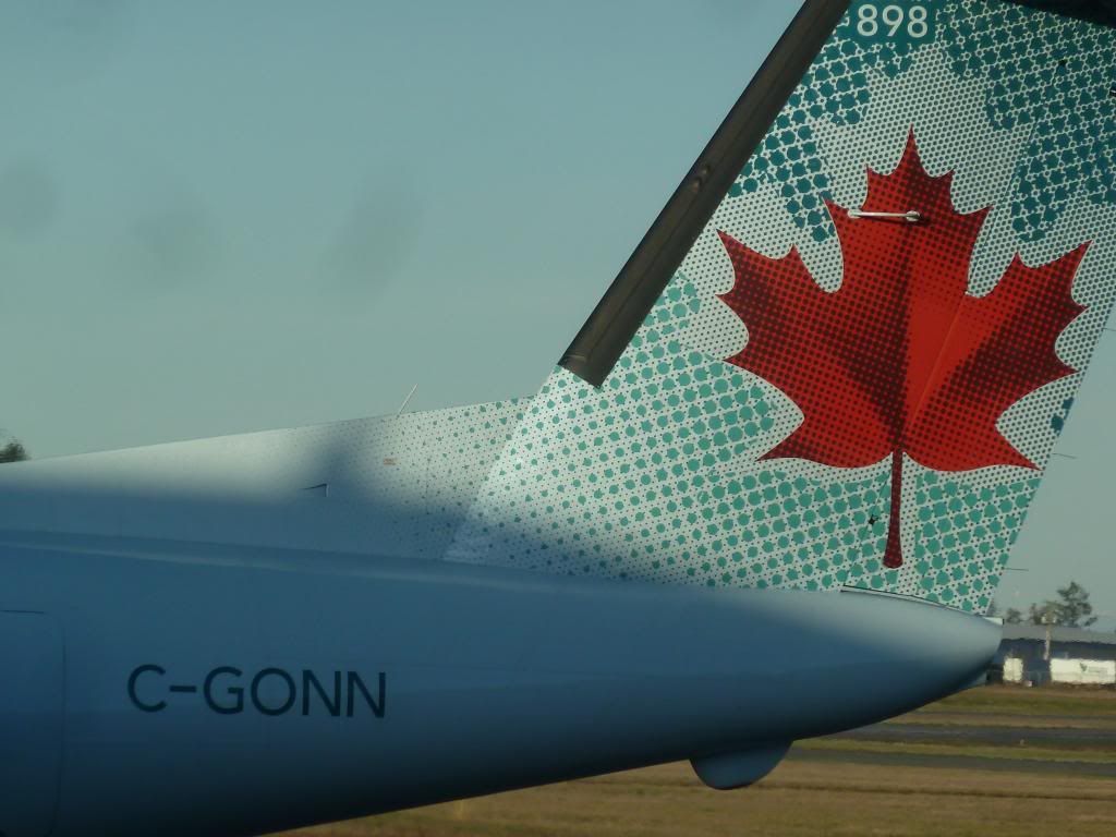 P1200146_zpscfa47bb5.jpg