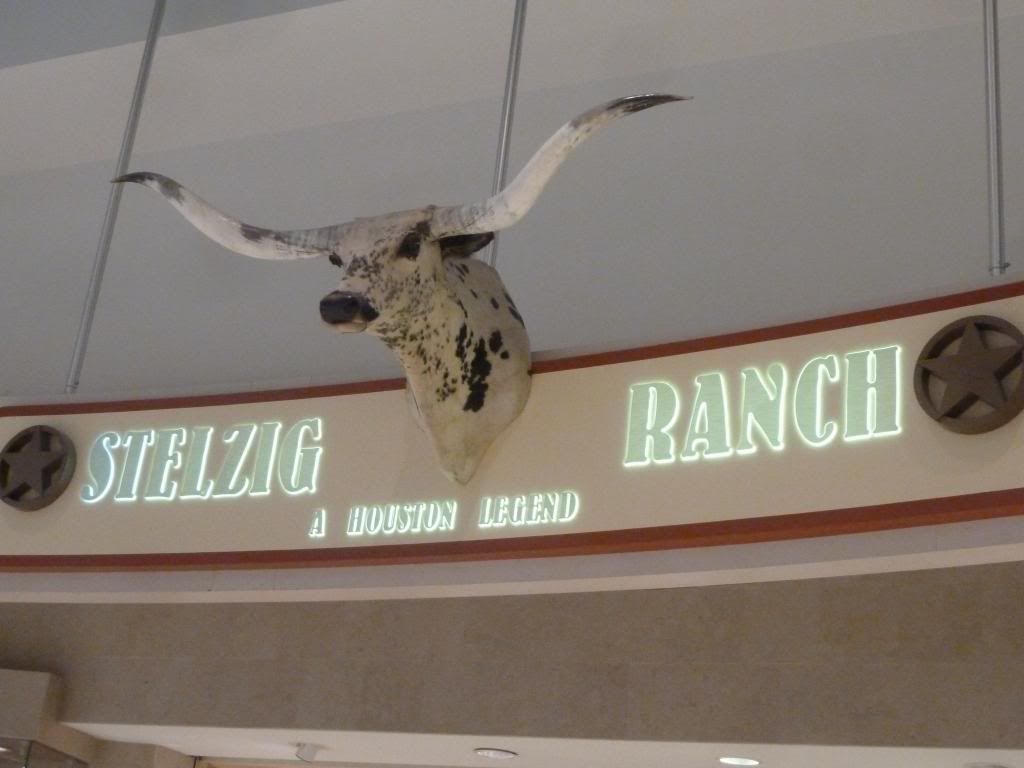 P1200293_zps7c012637.jpg
