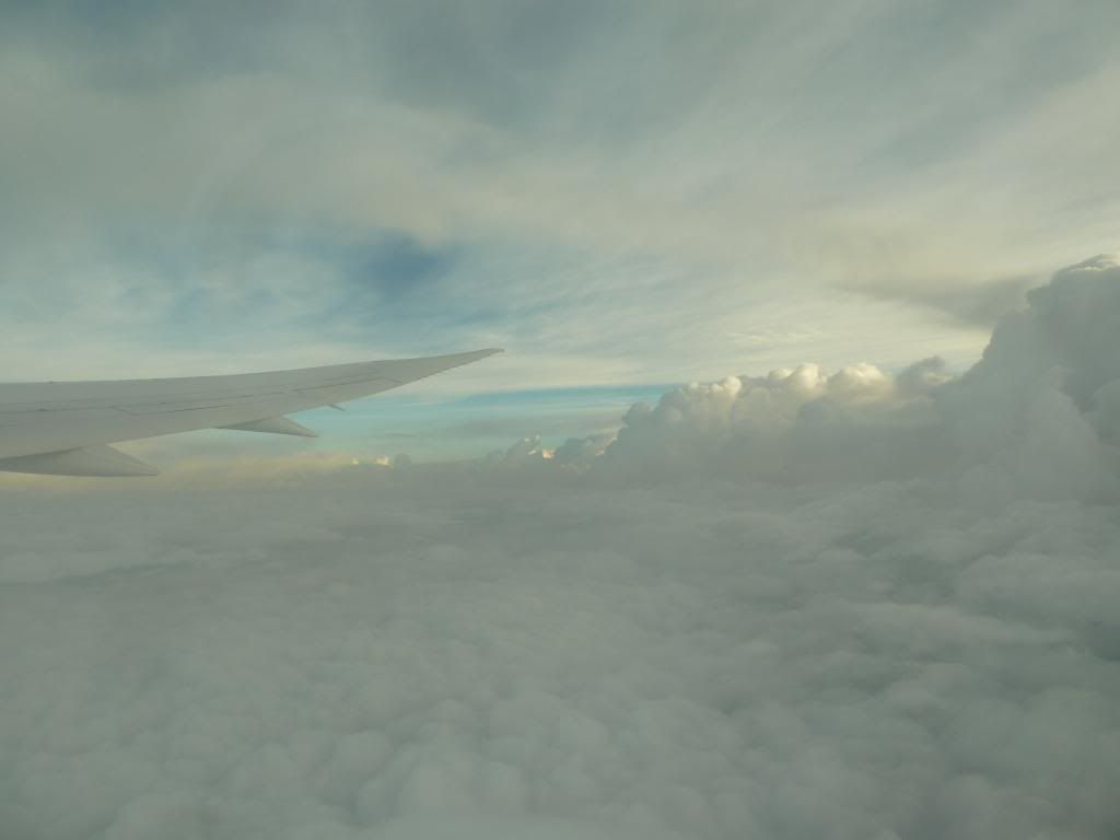 P1200314_zps0813d061.jpg