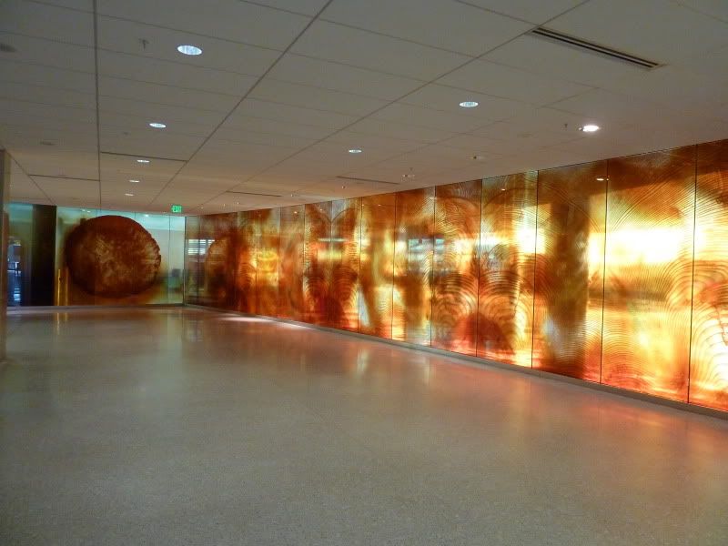 P1110787.jpg