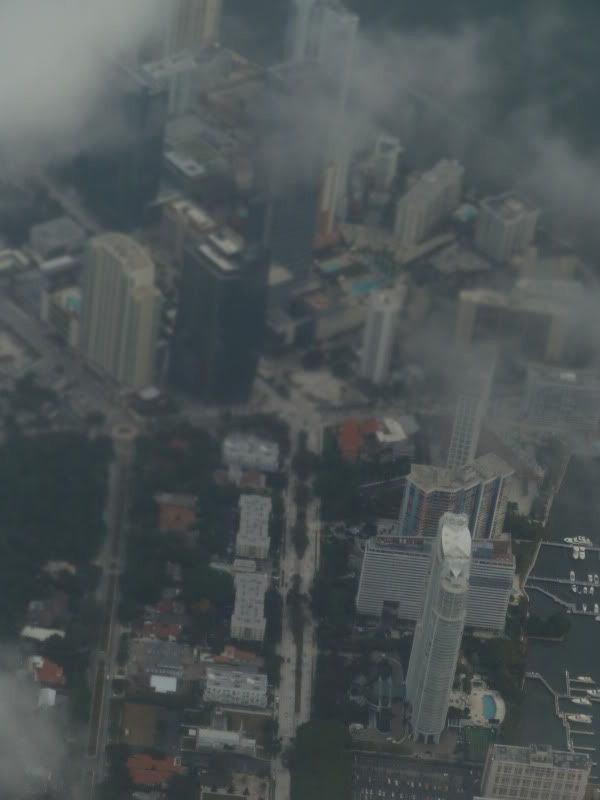 P1110846.jpg