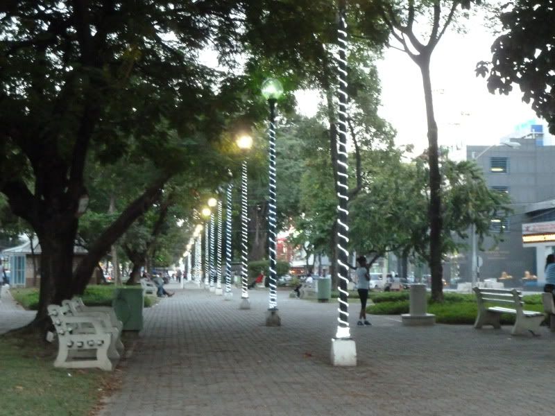 P1110882.jpg
