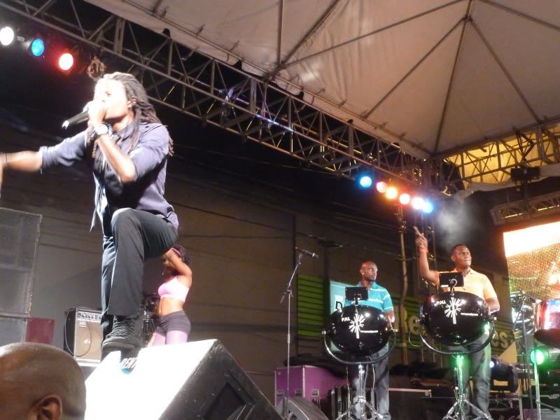 P1110932.jpg
