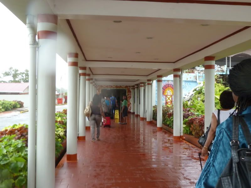 P1160008.jpg