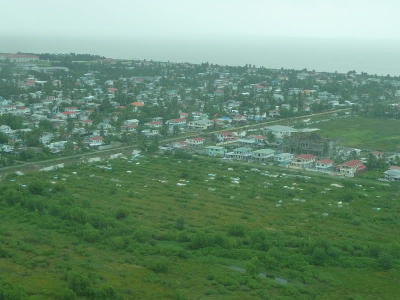 P1160079.jpg