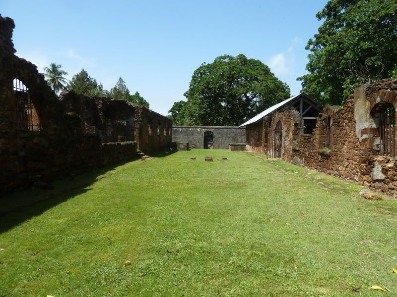 P1160228.jpg