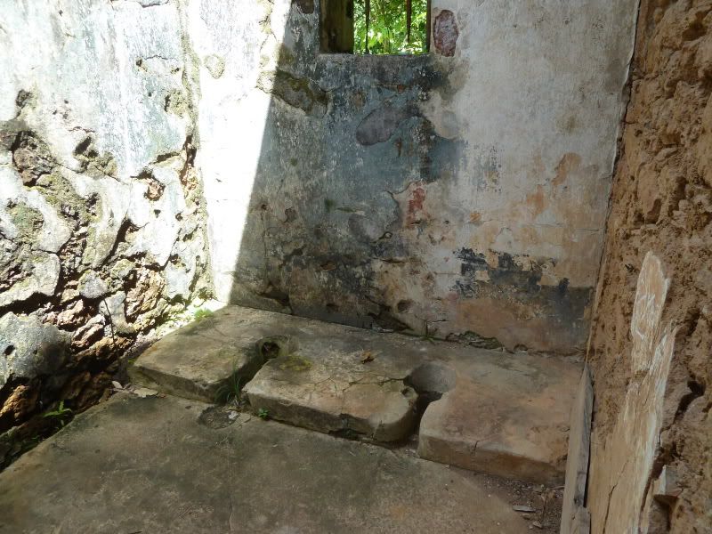 P1160230.jpg