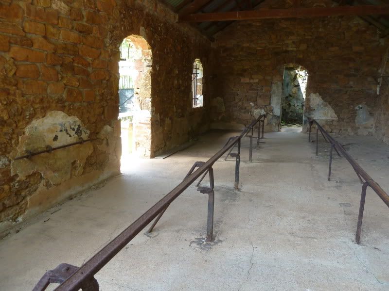 P1160231.jpg