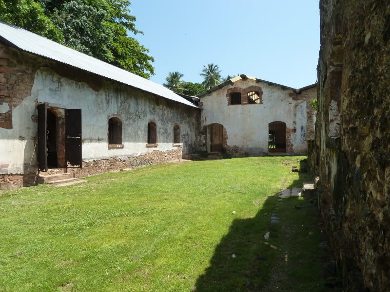 P1160233.jpg