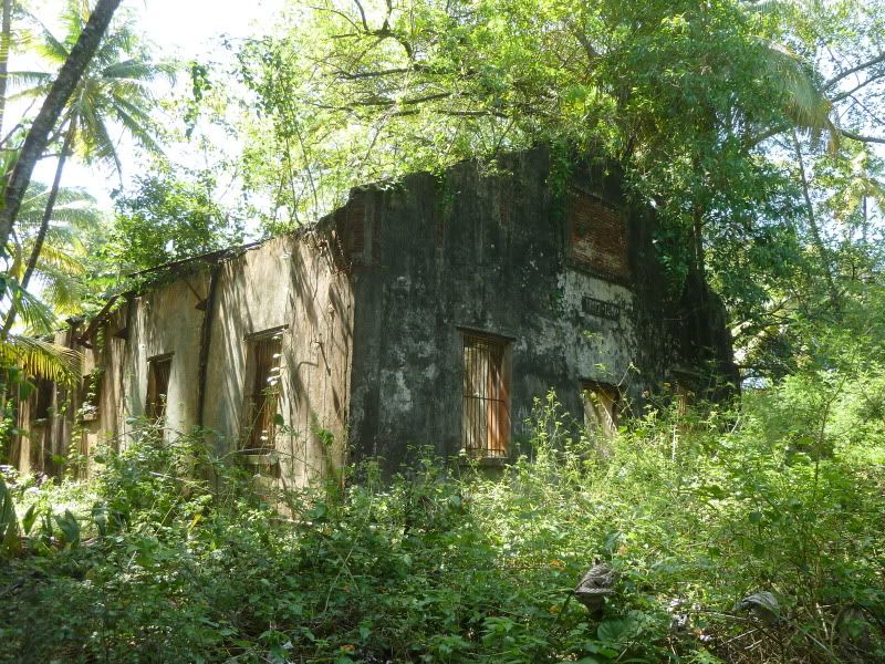 P1160240.jpg