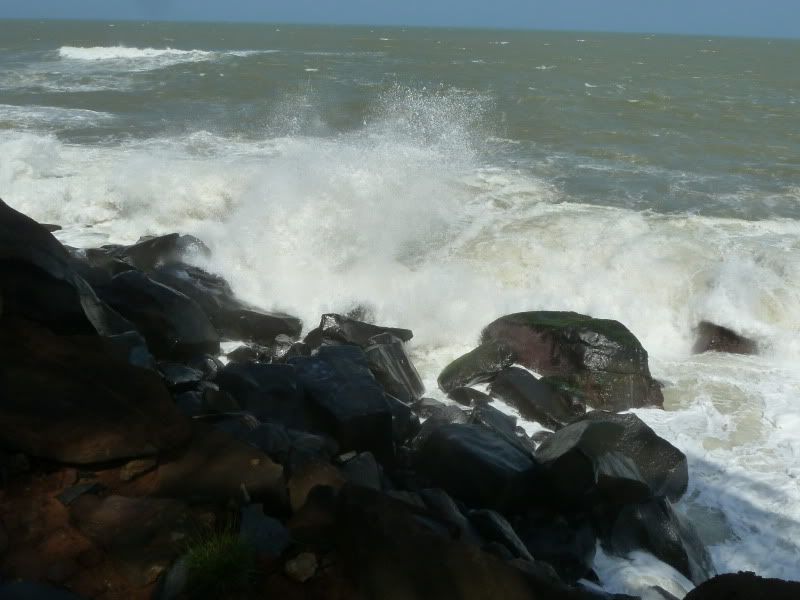 P1160251.jpg