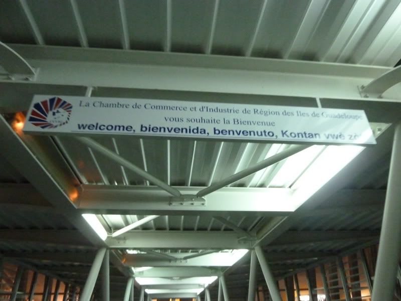 P1160323.jpg