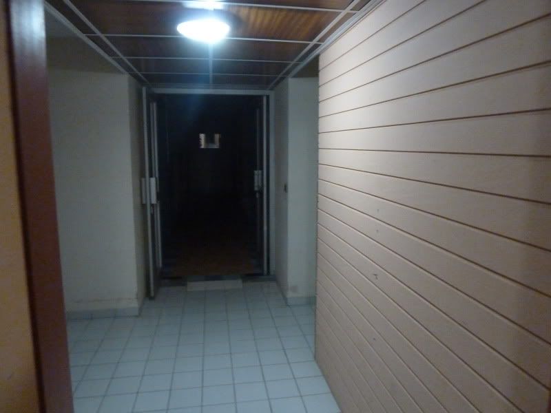 P1160329.jpg