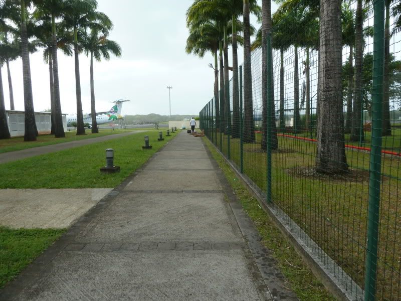 P1160378.jpg