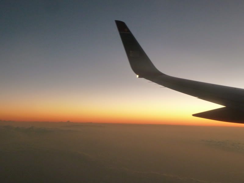P1160533.jpg