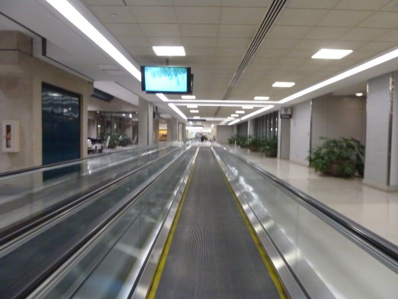 P1160536.jpg