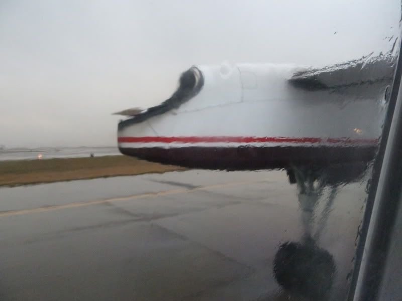 P1160549.jpg