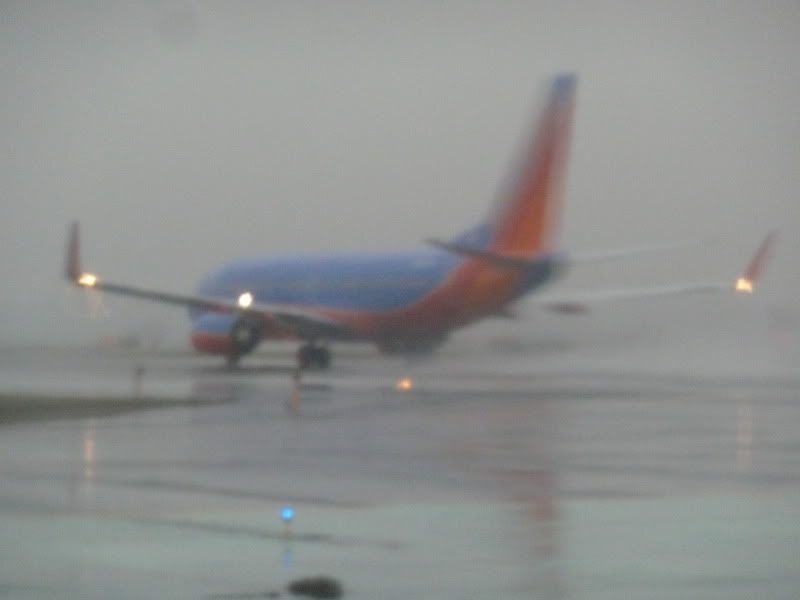 P1160550.jpg