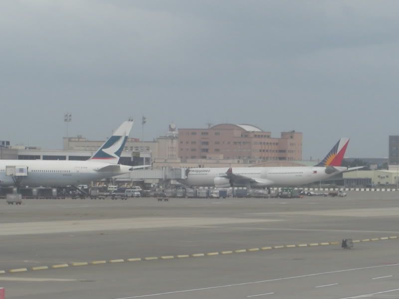 CIMG6525.jpg
