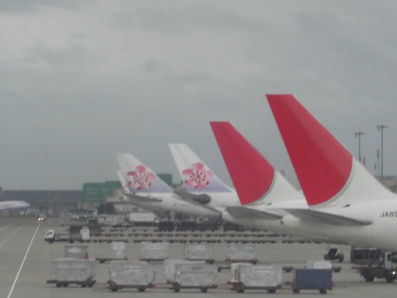 CIMG6552.jpg