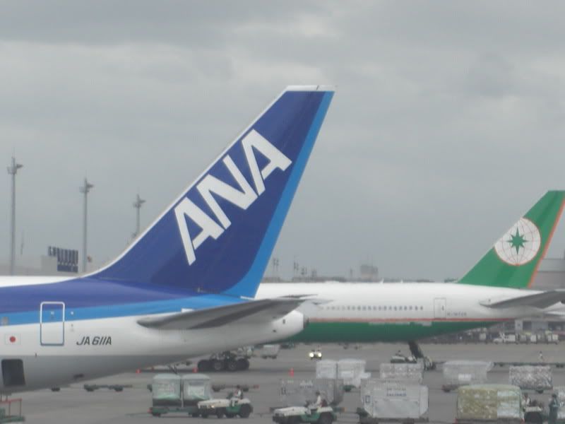 CIMG6553.jpg