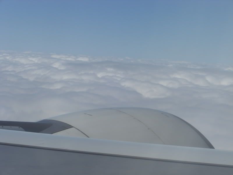 CIMG6562.jpg